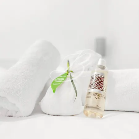 Le Croisette - Close To Palais & Apartment